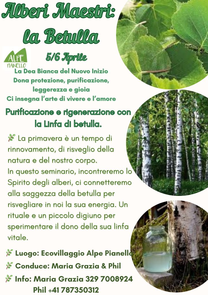 Whatsapp Bild 2025 02 25 Um 12.06.05 31ab5236