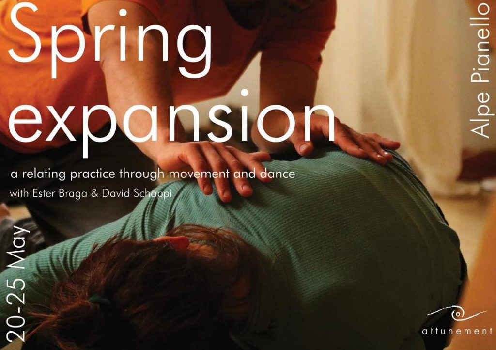 Immagine whatsapp 2025 03 23 ore 21.07.07 f41ff705